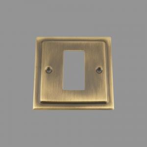 ANTIQUE BRASS VICTORIAN Outlet Faceplate 25X50mm